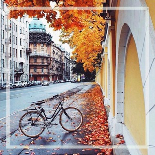 Логотип @petersburg_lady - Женское сообщество Питера