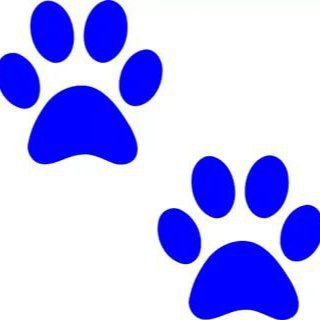 Логотип @petmirrf - Петмир.рф