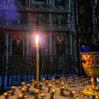 Логотип @petr_khamzin_chat - Комментарии