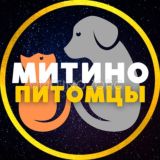 Логотип @pets_mitino - ПИТОМЦЫ 💙 МИТИНО • СЗАО | ЧАТ