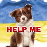 Логотип @pets_share_bc - 🆘🐾ANIMALS / Біла Церква