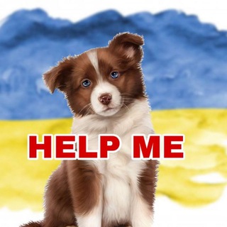 Логотип @pets_share_kyiv - 🆘🐾ANIMALS / Київ