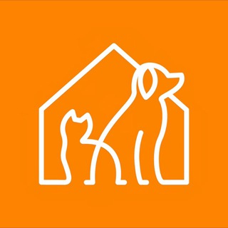 Логотип @pets_vl - Животные города_В