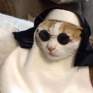 Логотип @petshealth - Здоровье питомца ⛑