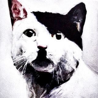 Логотип @petshopbeuys - petshopbeuys