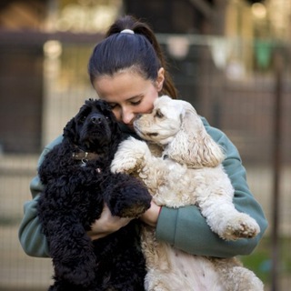 Логотип @petwishotel - PetWish