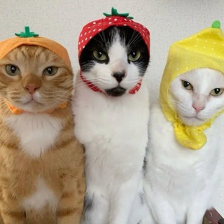 Логотип @pfingstbewegung - Подгорная проповедь