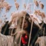 Логотип @pfotolaif - Инсайдер