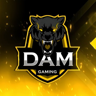 Логотип @pgdamgaming - DAM GAMING 2.0