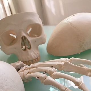 Логотип @pharm12344 - Pharma with sousou