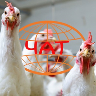 Логотип @pharmindustrypoultry - Чат НПК "Фарминдустрия" (птицеводство)