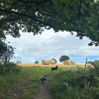 Логотип @phillimore - Вести с наших полей