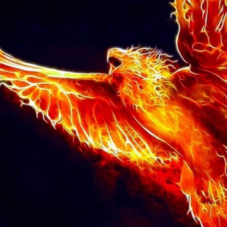 Логотип @phoenix_aus_asche_auferstanden - Phönix Aus Asche Auferstanden