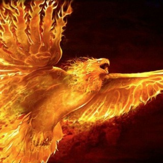 Логотип @phoenixstaking - Phoenix Staking