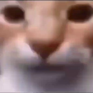 Логотип @phondlyavideo - Фоны и видео для мемов