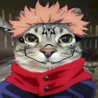 Логотип @phonksfromtiktok - ФОНКИ ИЗ ТТ🎧