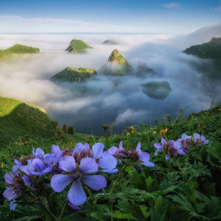 Логотип @photo_geographic - PhotoGeo Андрей Грачев