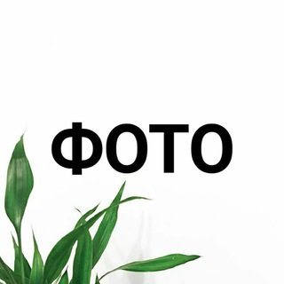 Логотип @photo_kontent_greenway - Фото контент