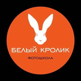 Логотип @photo_krolik - Фотошкола Белый Кролик