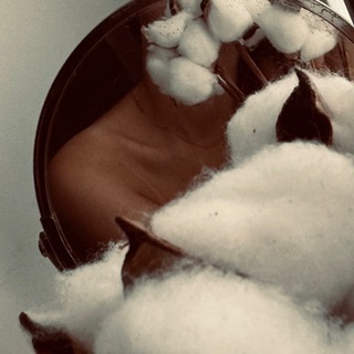 Логотип @photo_lina - ℙ𝕙𝕠𝕥𝕠 𝕃𝕚𝕟𝕒 📷 Фотография 🤳🏻 Таганрог