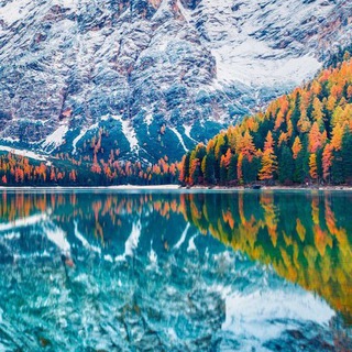 Логотип @photoap_parat - История России