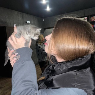 Логотип @photobattle228 - ФОТОБАТТЛЫ