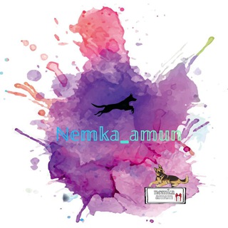 Логотип @photobattlesfromcats - Амуниция на заказ