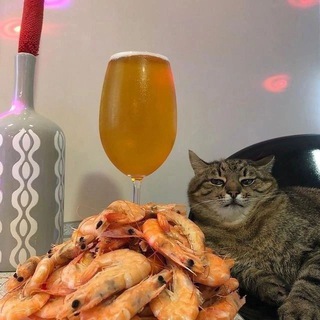 Логотип @photoforyourstories2020 - Злим бывшего❤️‍🔥