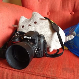 Логотип @photographyonandroid - Android Photography