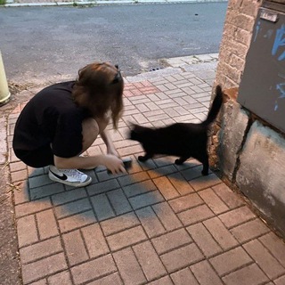 Логотип @photoispinteresttt - фоточки для аватарки🪼 тг tiktok inst x