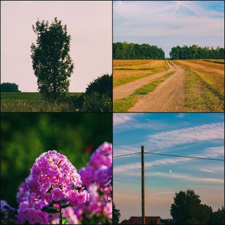 Логотип @photolife202 - Фото из жизни.