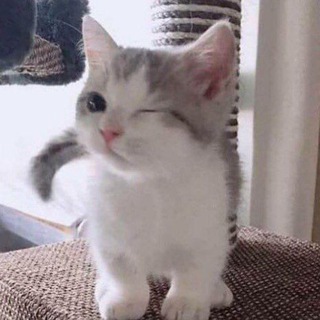 Логотип @photoobattless - photo battle🫶