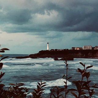 Логотип @photoshotbymusgit - 𝔭𝔥𝔬𝔱𝔬𝔰𝔥𝔬𝔱 𝔟𝛾 𝔪𝔲𝔰_𝔤𝔦𝔱🥀