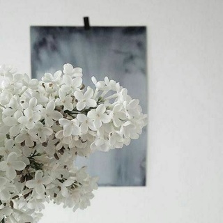 Логотип @photosicart - ♡