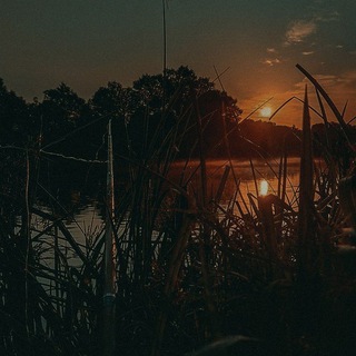 Логотип @photosnatural - 📸Фотоs