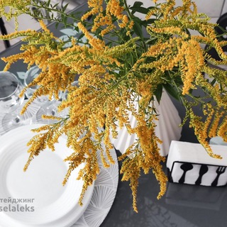 Логотип @photostaging - Интерьерная фотография