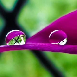 Логотип @phototerapie - Капелька нежности ❤️