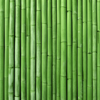 Логотип @photozabor - ФОТОЗАБОРЫ