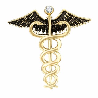 Логотип @physicaltherapylife - physical therapy/physiotherapy