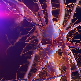 Логотип @physicasia - science blog