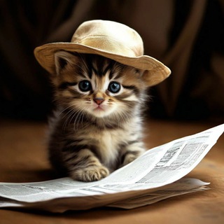 Логотип @piar_mega_news - Пиар Мега - правила, новости, отзывы.