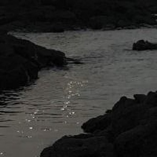 Логотип @piar_misli_naprokat - библиотека чувств