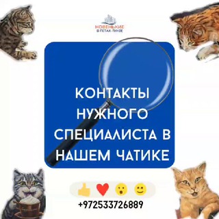 Логотип @piarsvet - Сообщество в Израиле от Анастасии Светлой°PR COMMUNITY