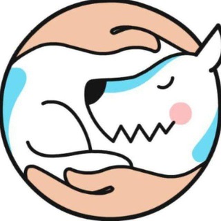 Логотип @pibo_chat - Чат школы Pi-Bo 💭🐕