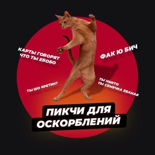 Логотип @pic4oskorbleniy - Пикчи для оскорблений