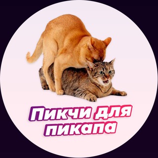 Логотип @pic4pickup - Пикчи для пикапа
