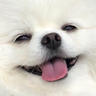 Логотип @picc4uu - pictureforu