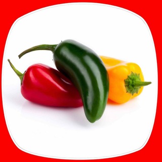 Логотип @piccantealpuntogiusto - Gruppo spicy