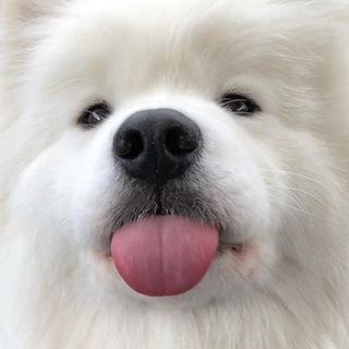 Логотип @pict_love - Пикчи с любовью