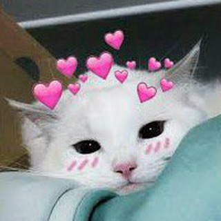 Логотип @pictloveee - Пикчи для любви